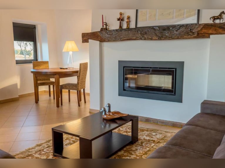 Piękna posiadłość z winnicami oraz zapleczem noclegowym dla turystyki winnej.