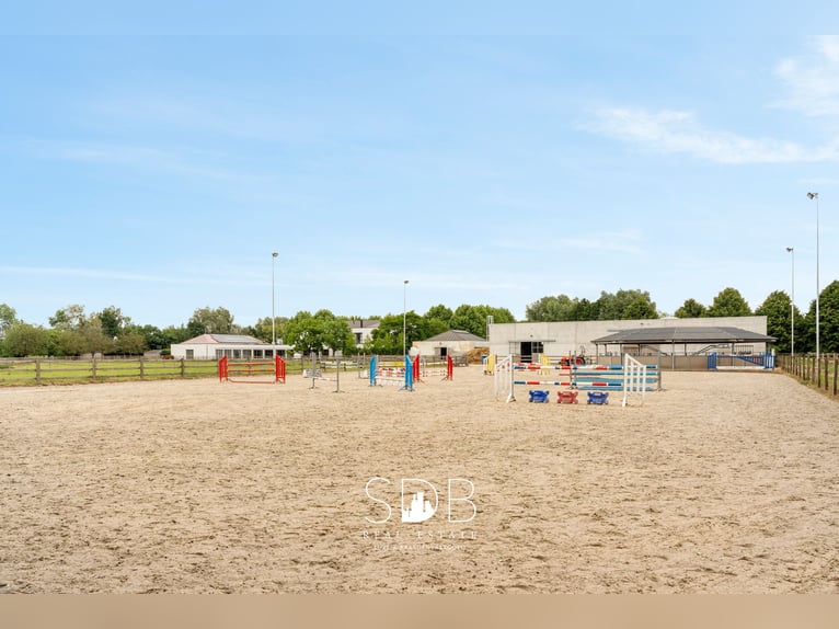 Piękna rezydencja z obiektem jeździeckim oraz pastwiskami na około 23 hektarach – 9800 Deinze