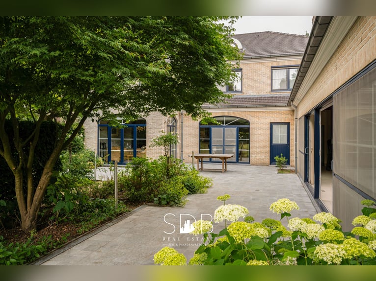 Piękny dworek z infrastrukturą dla koni na powierzchni 15 804 m² w Haasdonk