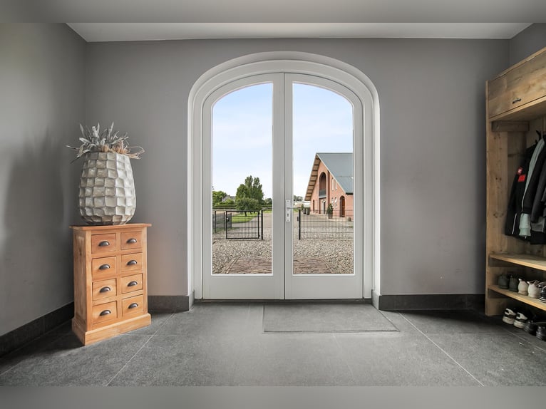 Piękny obiekt jeździecki z wieloma możliwościami dla profesjonalnego miłośnika koni!