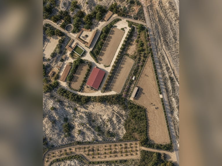 Piękny ośrodek jeździecki w Walencji (Costa Blanca)