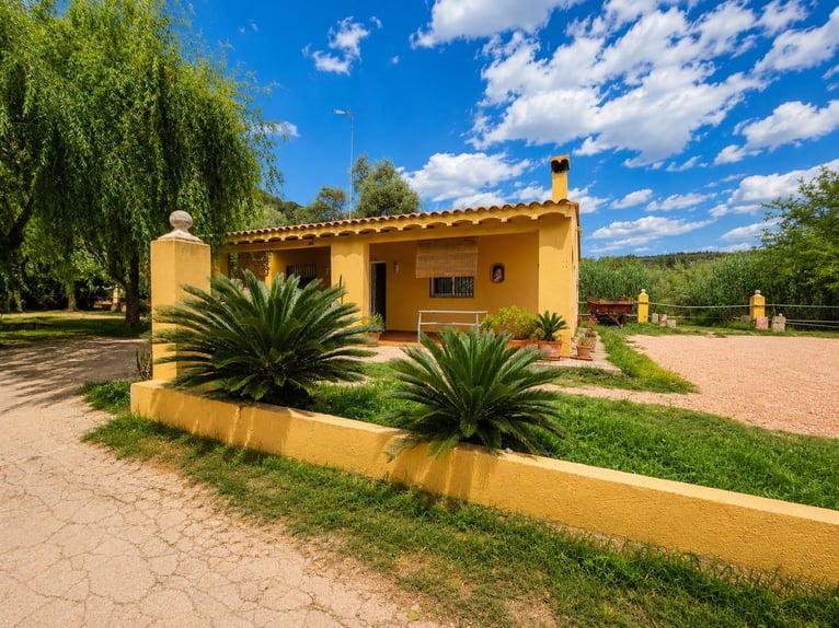 Piękny ośrodek jeździecki w Walencji (Costa Blanca)
