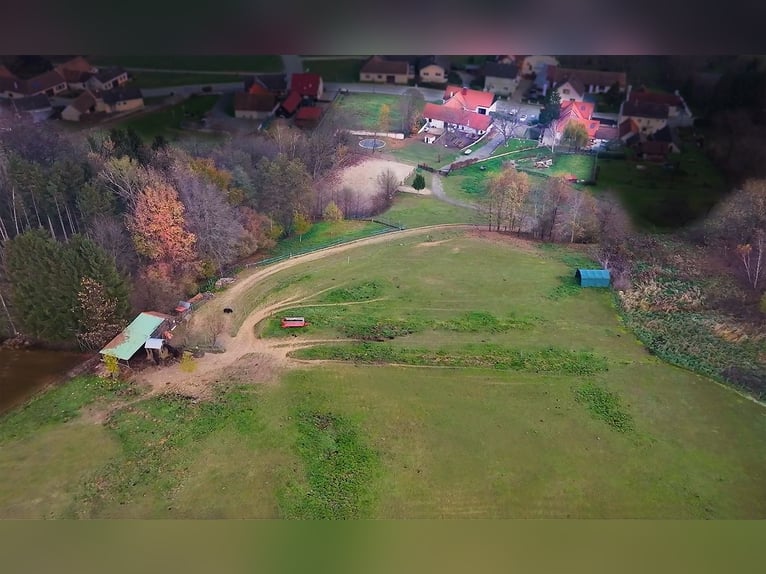 Posiadłość z hodowlą koni na sprzedaż