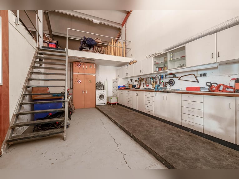 Posiadłość z profesjonalnymi obiektami jeździeckimi i przestronnymi opcjami mieszkalnymi