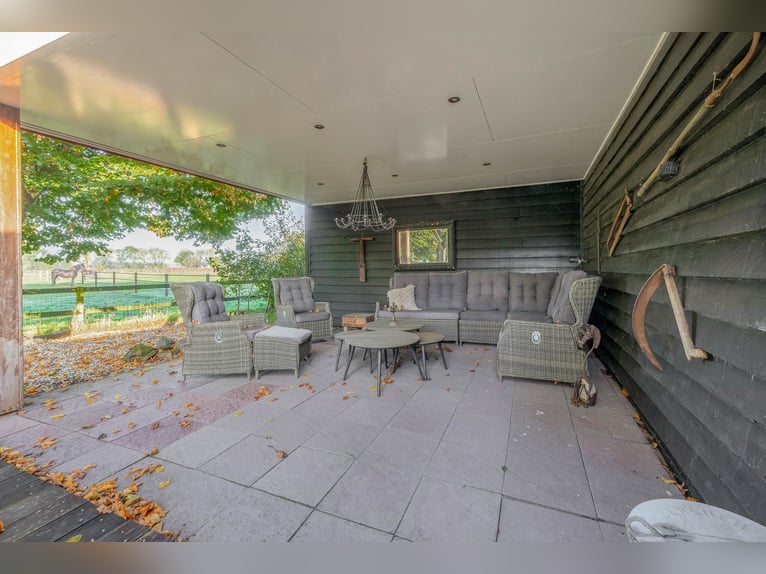 Posiadłość z profesjonalnymi obiektami jeździeckimi i przestronnymi opcjami mieszkalnymi