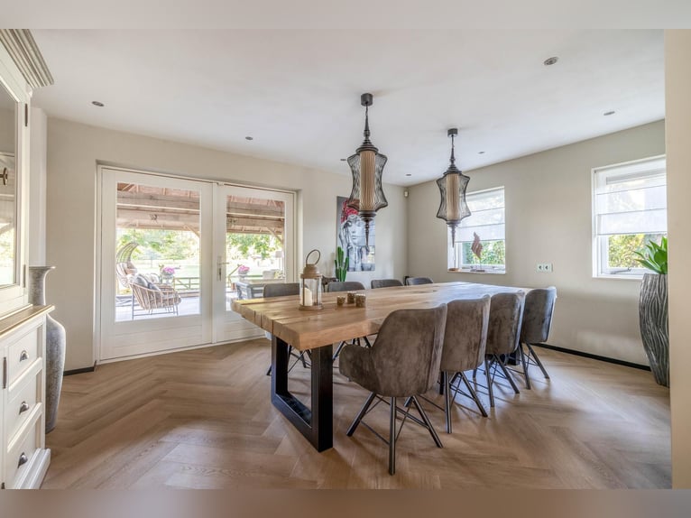 Posiadłość z profesjonalnymi obiektami jeździeckimi i przestronnymi opcjami mieszkalnymi