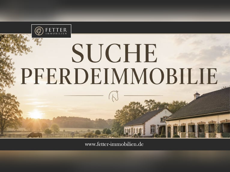 Poszukuję luksusowej nieruchomości konnej z dużym domem – budżet do maksymalnie 4 000 000 €