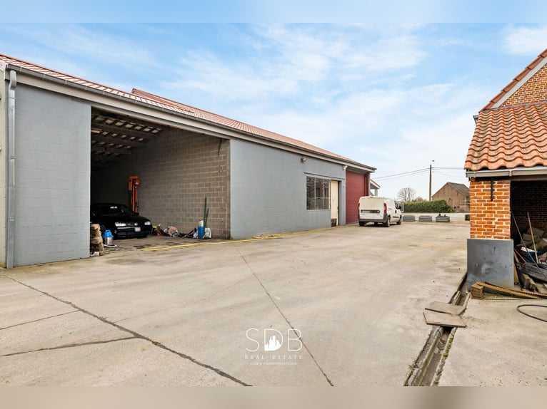 Prachtige villa in hoevestijl met bijgebouwen en graslanden op 89.070m² - 2811 Leest