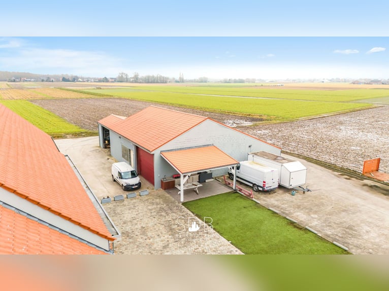 Prachtige villa in hoevestijl met bijgebouwen en graslanden op 89.070m² - 2811 Leest