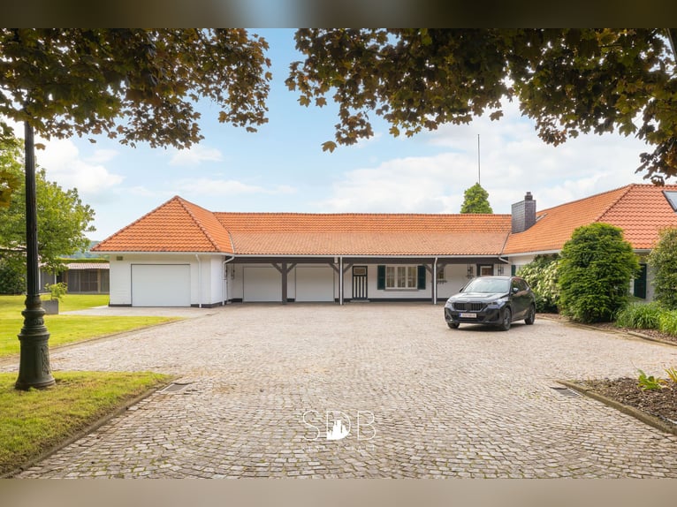 Prachtige villa met zwembad, paardenstallen, paddock en grasland op 1,3HA - 1790 Affligem