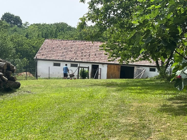 Prawdziwy skarb na Węgrzech w malowniczym krajobrazie pomiędzy Pécsem a Kaposvárem