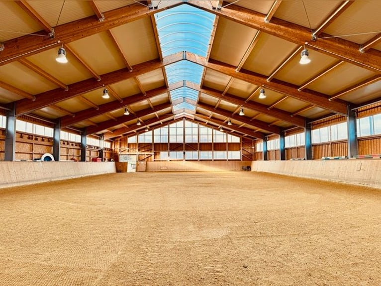 Professionelle Reitanlage im Großraum Metzingen Professionelle Reitanlage im Großraum Metzingen