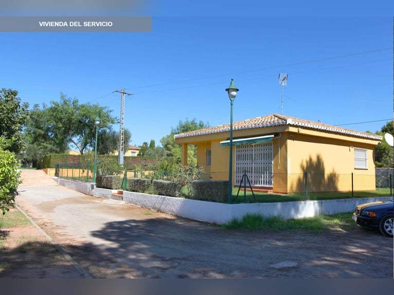 Ref 2535Sg Spanien, Valencia, Bétera - elegante Villa mit Reitstall zu verkaufen!