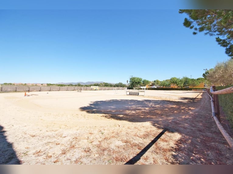 Ref 2535Sg Spanien, Valencia, Bétera - elegante Villa mit Reitstall zu verkaufen!
