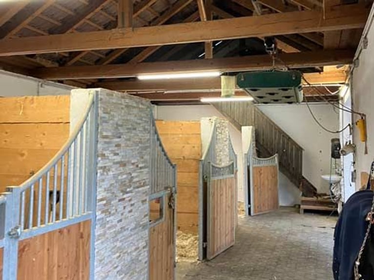 Ref2522HC Österreich, Kärnten, Völkermarkt - Wohnen, wo andere Urlaub machen- mit Ihren Pferde!