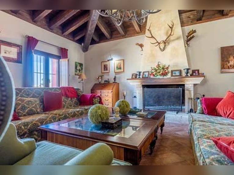 Ref2525FS Andalusien, nahe Sevilla - authentischer Cortijo zu verkaufen!