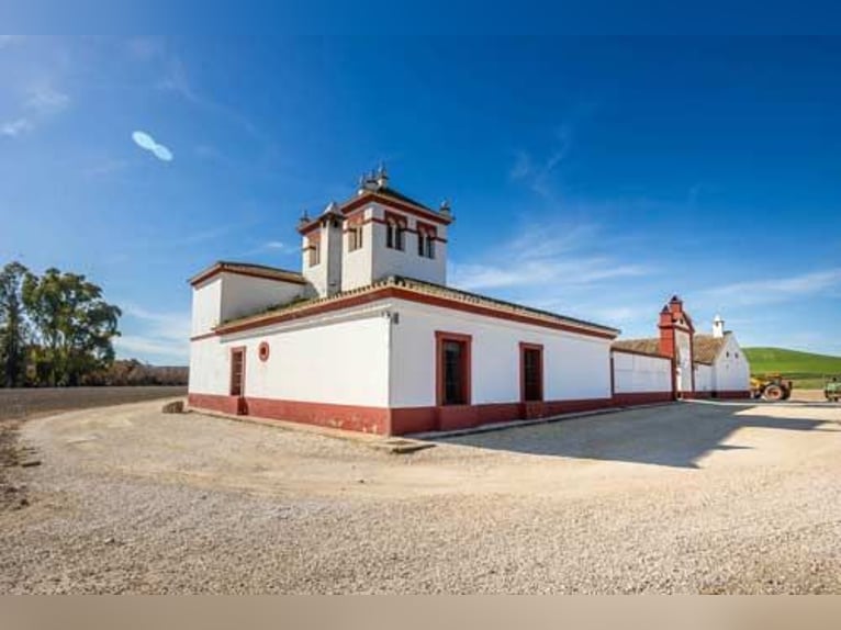 Ref2525FS Andalusien, nahe Sevilla - authentischer Cortijo zu verkaufen!