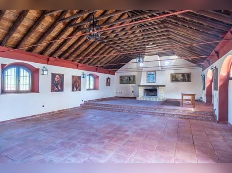 Ref2525FS Andalusien, nahe Sevilla - authentischer Cortijo zu verkaufen!