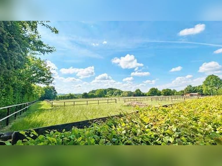 Ref2529 NRW, Nordrhein-Westfalen, Raum 33739 Bielefeld - gepflegte Reitanlage in unverbaubarer Lage