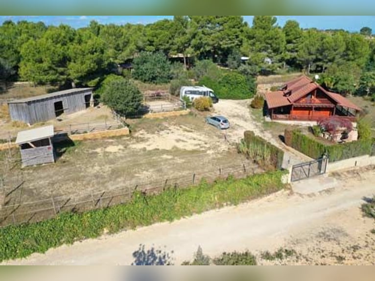 Ref2531 Spanien, Valencia, Monserrat - Finca mit Pferdestall zu verkaufen!