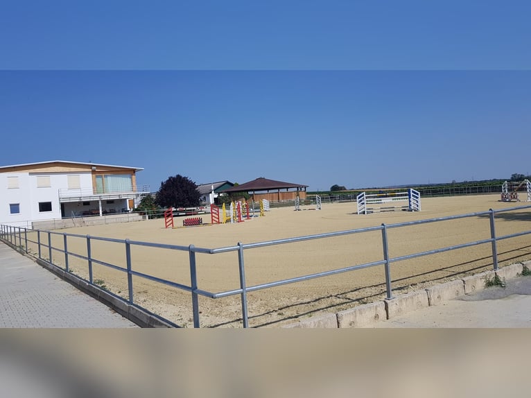 Reit und Tennissportanlage zu verkaufen