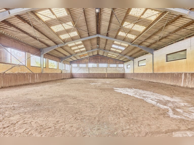 Reitanlage an der Bergstraße: Romantisches Holzhaus & ländliche Ruhe in Lorsch