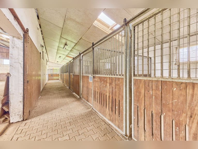 Reitanlage an der Bergstraße: Romantisches Holzhaus & ländliche Ruhe in Lorsch