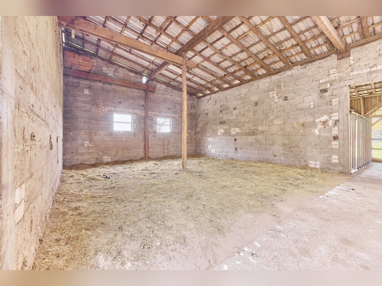 Reitanlage an der Bergstraße: Romantisches Holzhaus & ländliche Ruhe in Lorsch