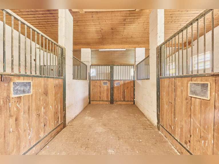 Reitanlage an der Bergstraße: Romantisches Holzhaus & ländliche Ruhe in Lorsch