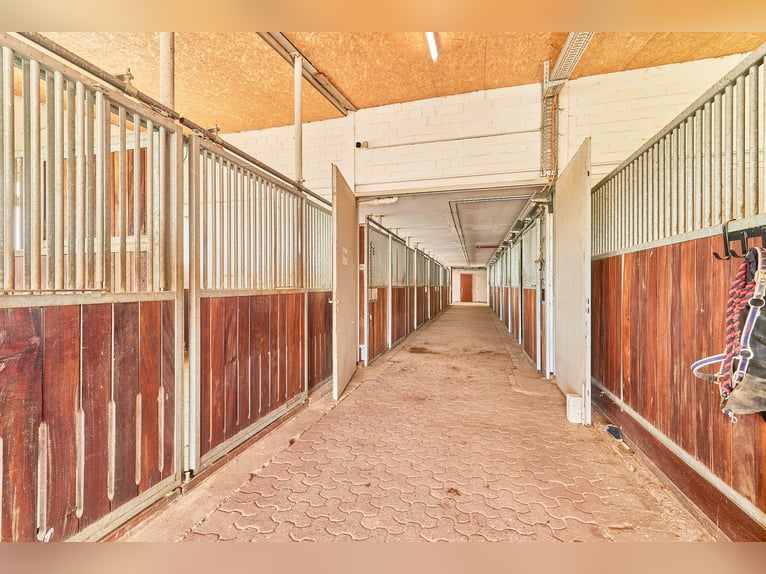 Reitanlage im Kreis Wesel zu verkaufen – Preis inkl. Dachsanierung!