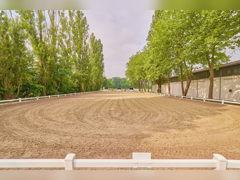 Reitanlage im Kreis Wesel zu verkaufen – Preis inkl. Dachsanierung!