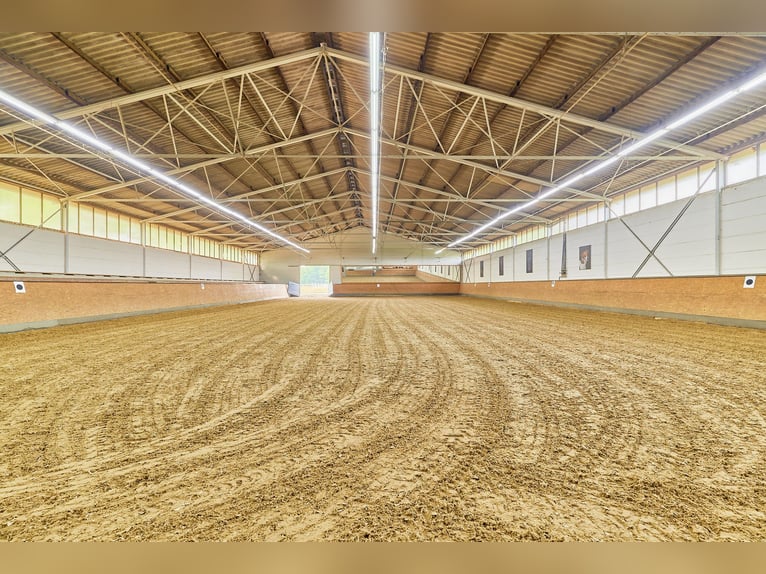 Reitanlage im Kreis Wesel zu verkaufen – Preis inkl. Dachsanierung!
