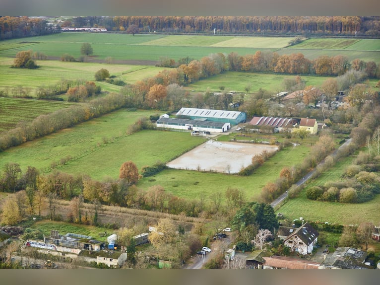 Reitanlage im Rhein-Main-Gebiet in Egelsbach mit mehr als 20 Hektar Fläche!