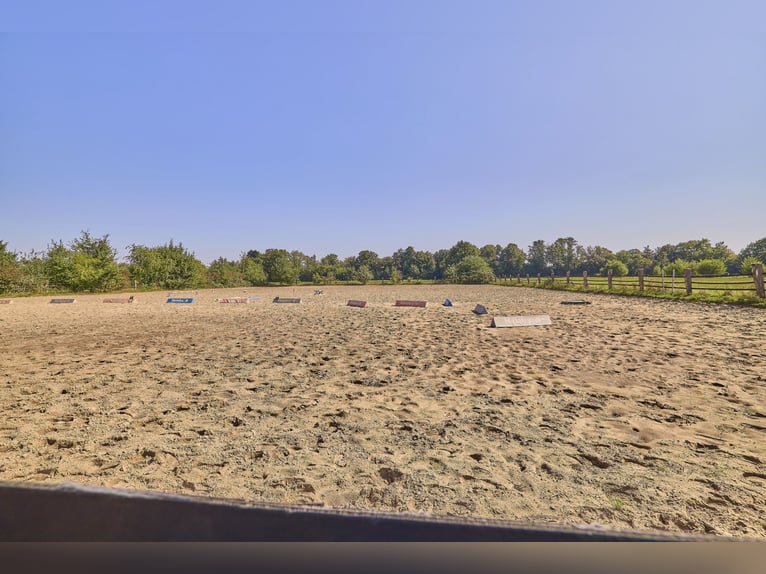 Reitanlage im Rhein-Main-Gebiet in Egelsbach mit mehr als 20 Hektar Fläche!