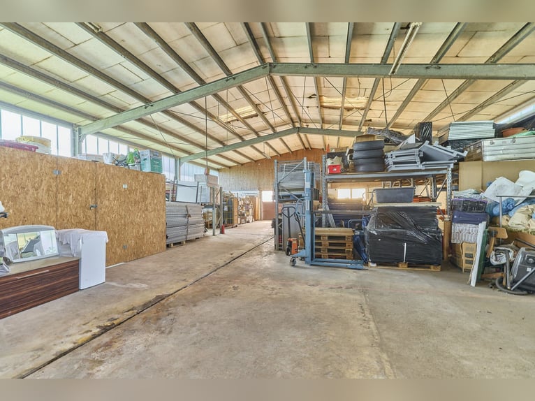 Reitanlage im Rhein-Main-Gebiet in Egelsbach mit mehr als 20 Hektar Fläche!