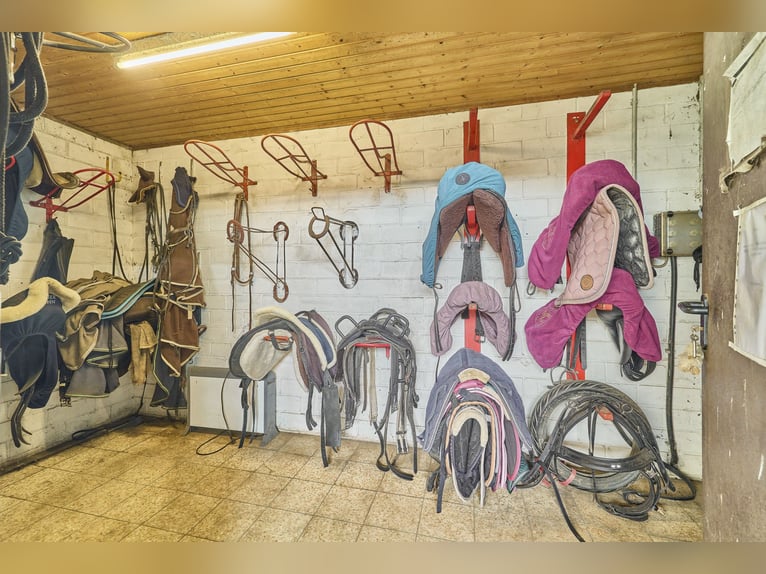 Reitanlage im Rhein-Main-Gebiet in Egelsbach mit mehr als 20 Hektar Fläche!