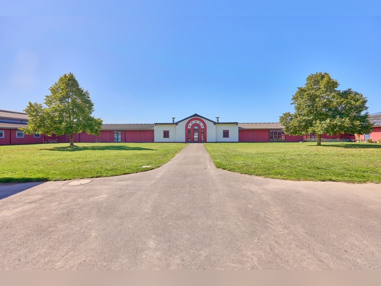 Reitanlage in Lonnig zu verkaufen – in Mitten des Sonderbaugebietes “Wohnen mit Pferden”