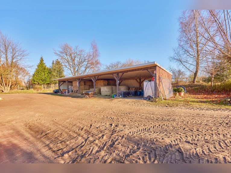Reitanlage in Niedersachsen (Landkreis Uelzen) mit Wohn- und Gästehaus zu verkaufen!