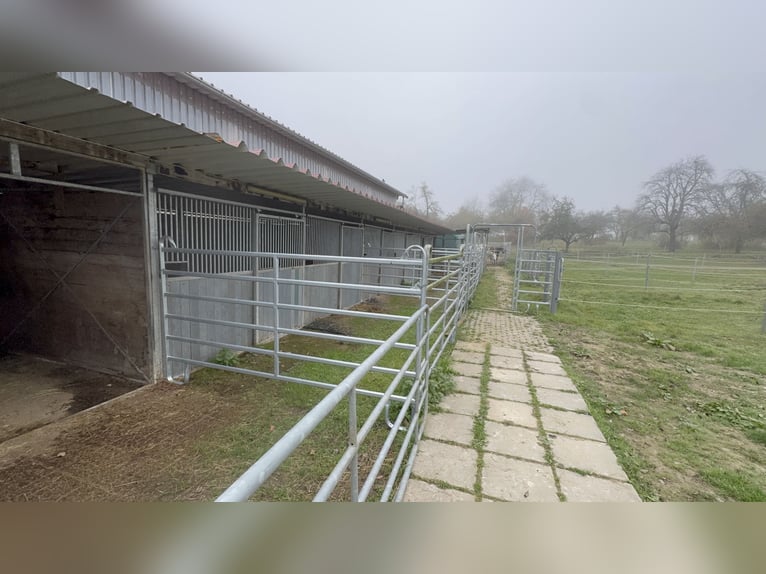 Reitanlage in Osterburken – vielseitige Nutzungsmöglichkeiten auf großzügigem Anwesen