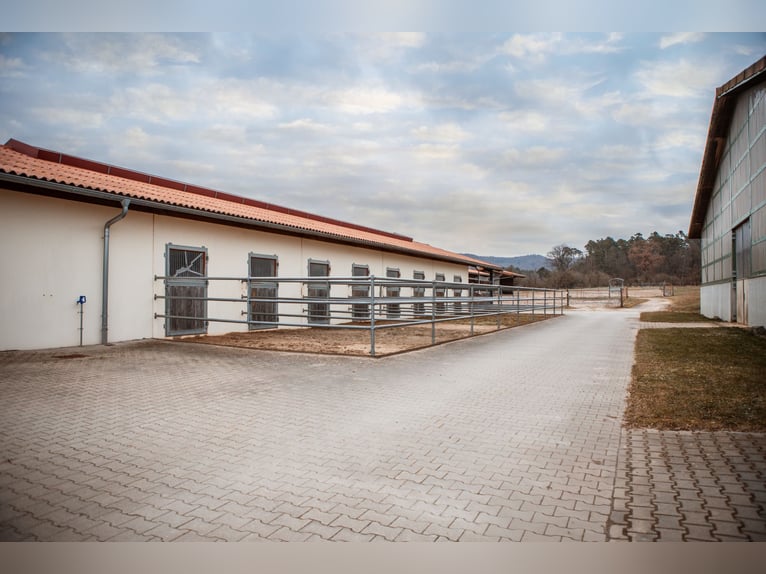 Reitanlage mit 10 ha Land zwischen Würzburg und Bamberg