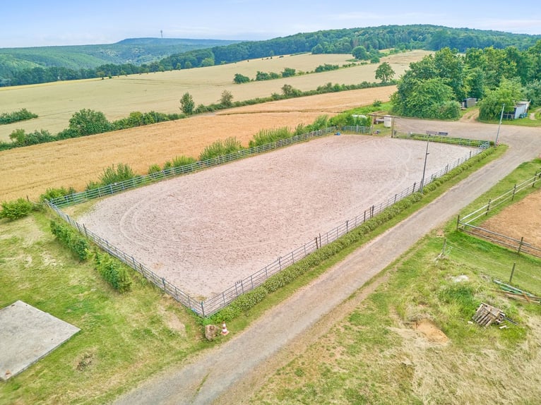 Reitanlage mit Panoramablick in Battenberg (Pfalz) – Einmalige Alleinlage !