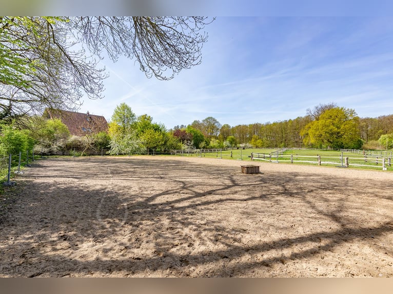 Reiten  und Wohnen!