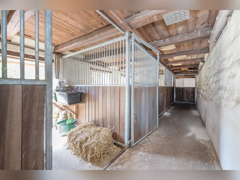 Reiten  und Wohnen!