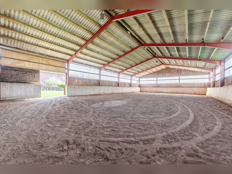 Reiten  und Wohnen!