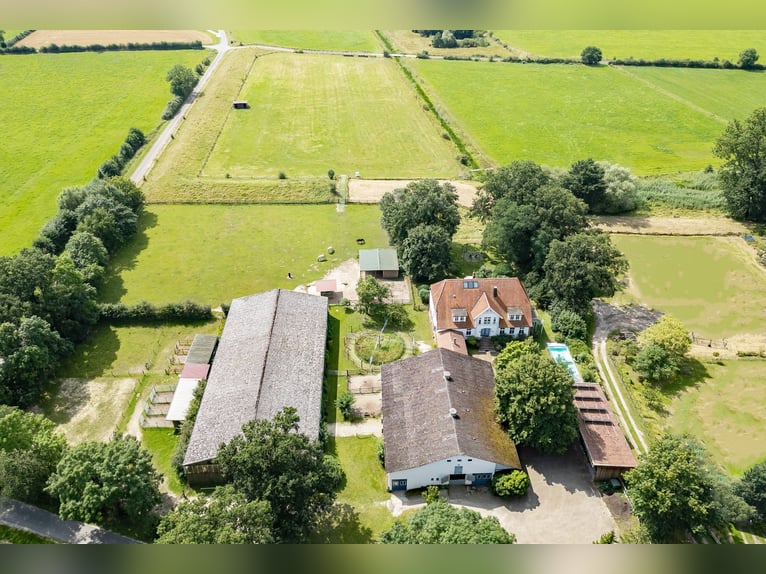 Reiterhof mit historischem Gutshaus im Aller-Leine-Tal zu verkaufen - 7 ha arrondierte Flächen