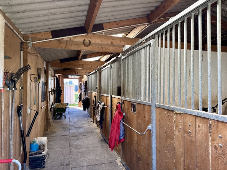 Reiteridylle trifft Wohnkomfort: Einzigartige Immobilie mit Stallungen