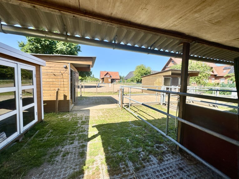 Reiteridylle trifft Wohnkomfort: Einzigartige Immobilie mit Stallungen