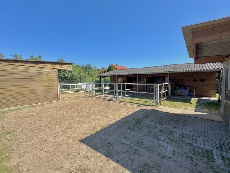 Reiteridylle trifft Wohnkomfort: Einzigartige Immobilie mit Stallungen