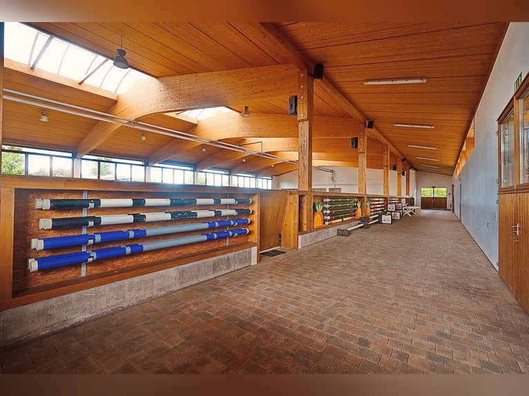 Reitowa idylla spotyka się z designem – stylowo żyć, luksusowo się rozkoszować V13132