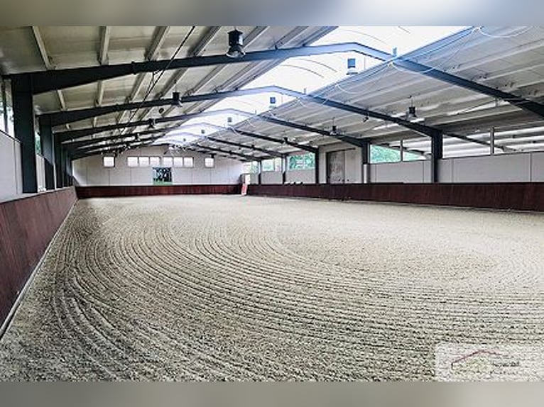 Reitsportanlage  nähe München